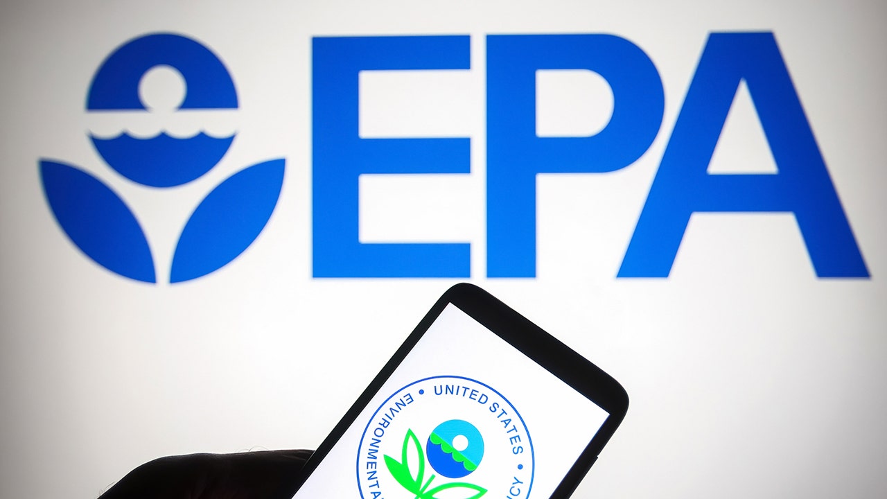 Energy expert weighs in on 23 state attorneys general suing EPA