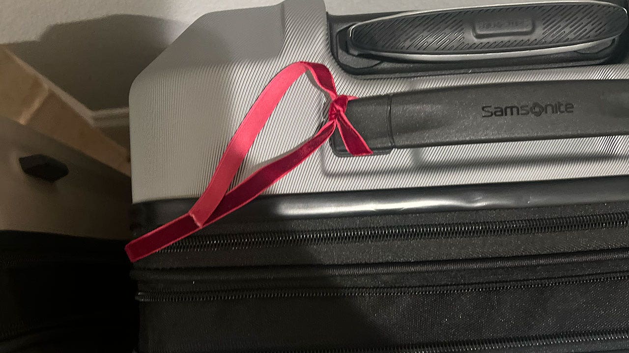 Flight passenger shows luggage resembling prop from airport thriller ‘Carry-On,’ sparking reactions