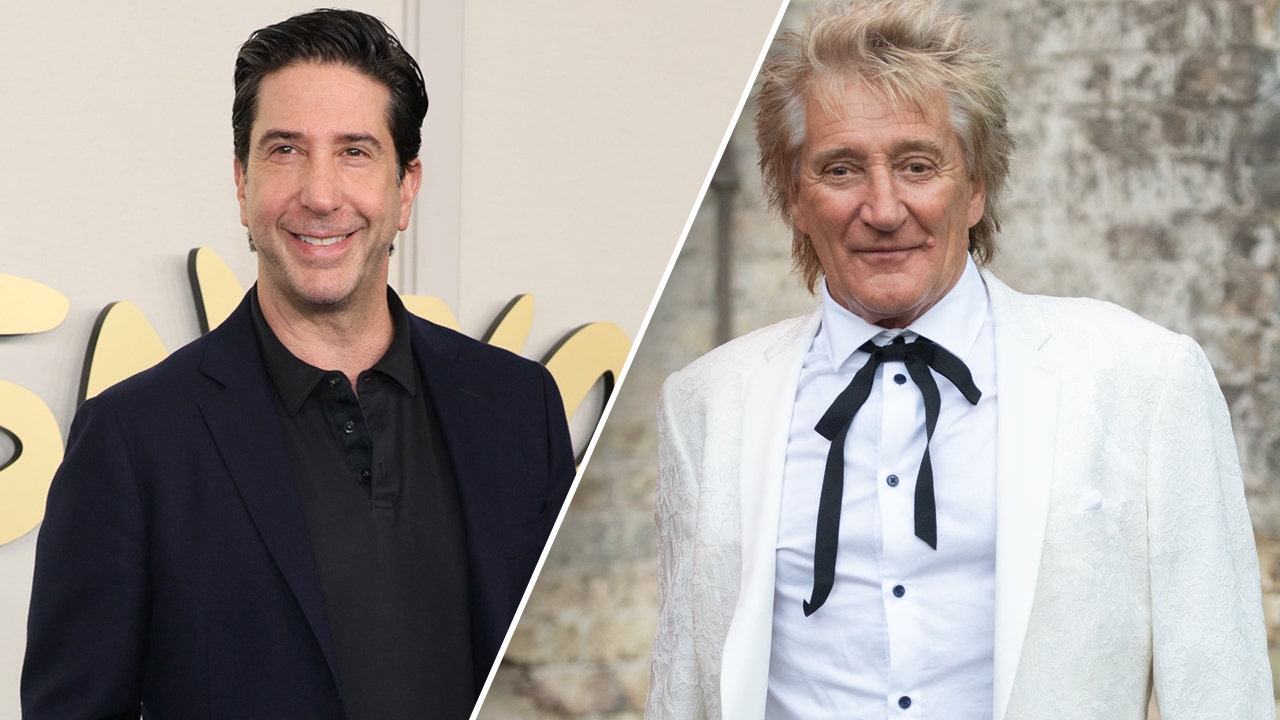 ‘Friends’ star David Schwimmer served Rod Stewart with divorce papers