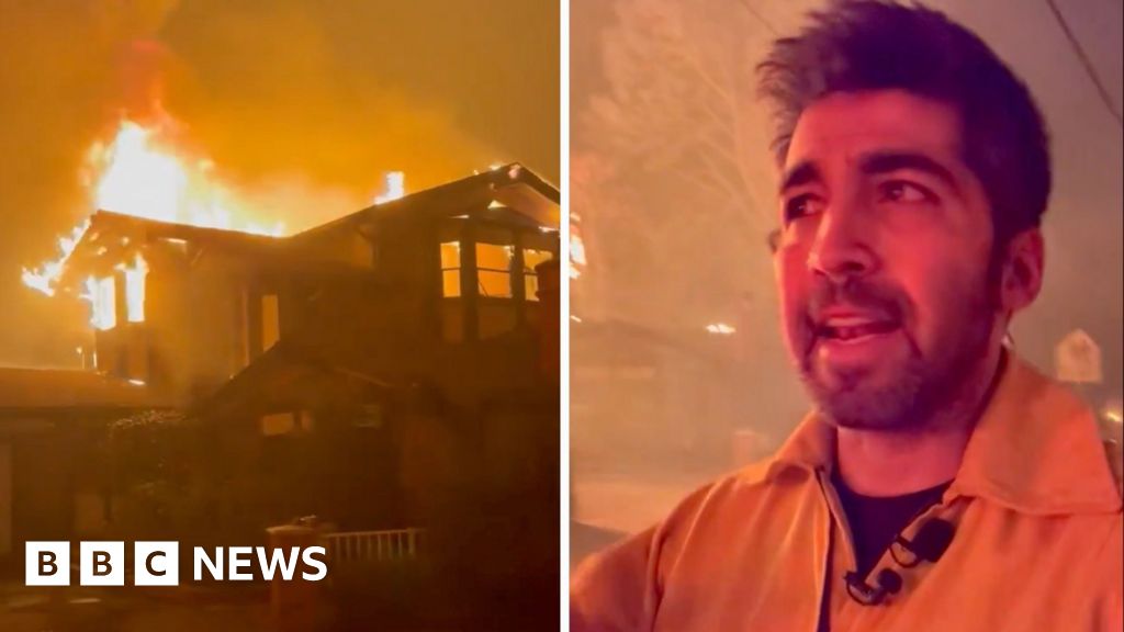 Inside neighbourhood totally lost in LA fires