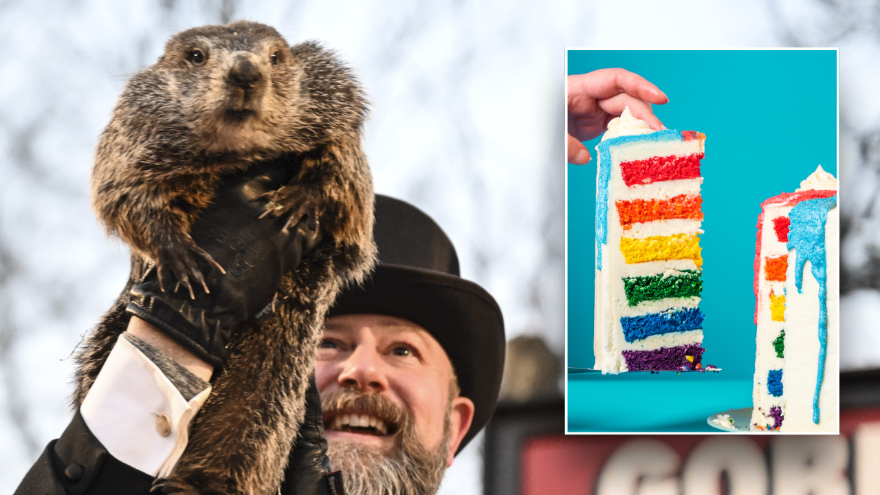 PETA calls to end Groundhog Day tradition, retire Punxsutawney Phil with cake alternative