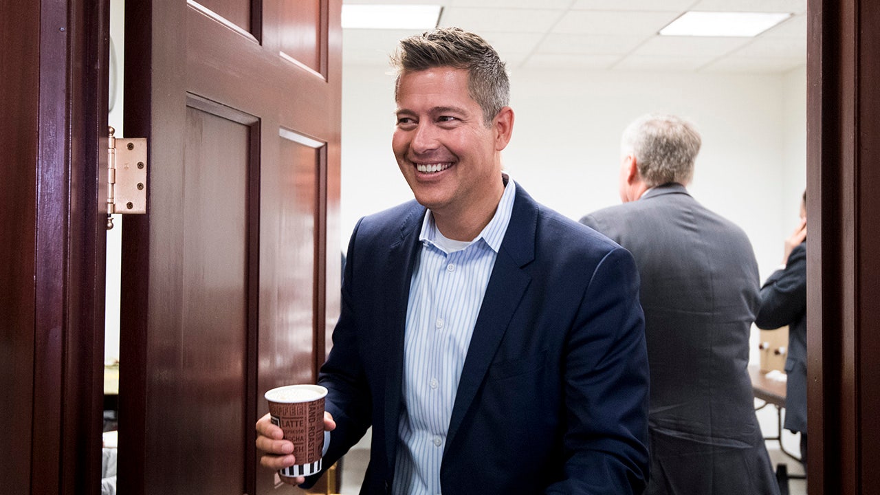 Senate poised to approve Trump Transportation Department pick Sean Duffy