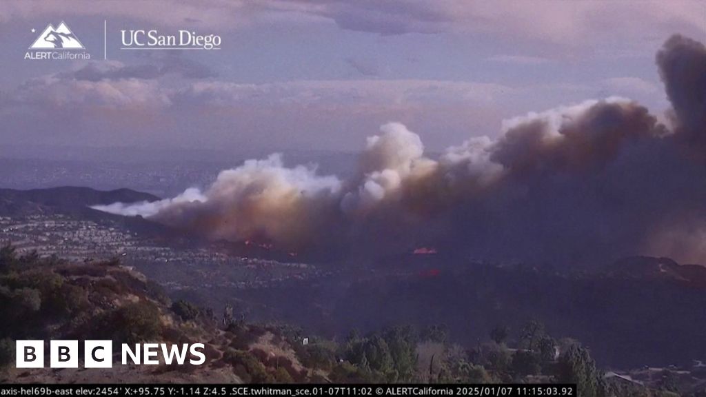 Watch: Timelapse shows rapid spread of Palisades wildfire