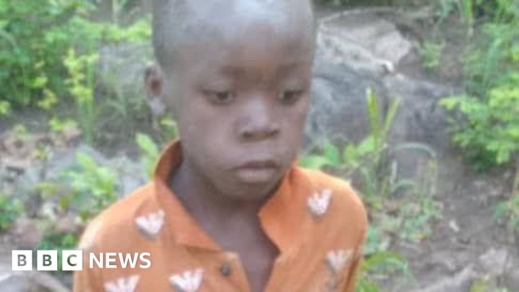 Zimbabwe boy of eight survives five days in lion-inhabited Matusadona game park