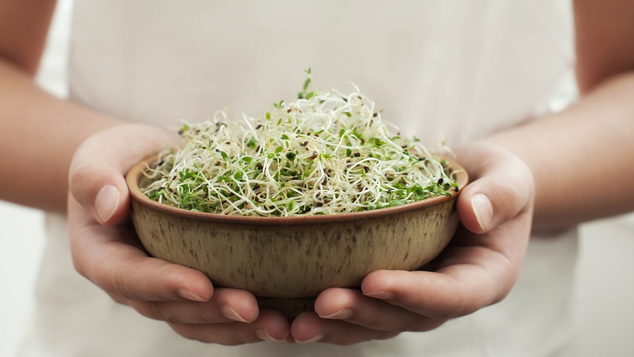 Alfalfa sprouts are recalled due to potential listeria contamination