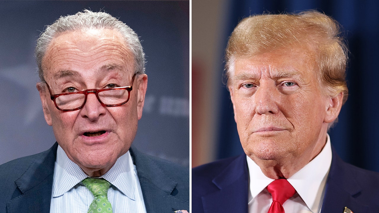 Dems claim Trump tariff could ‘drive up’ costs despite deflecting blame from Biden’s inflation