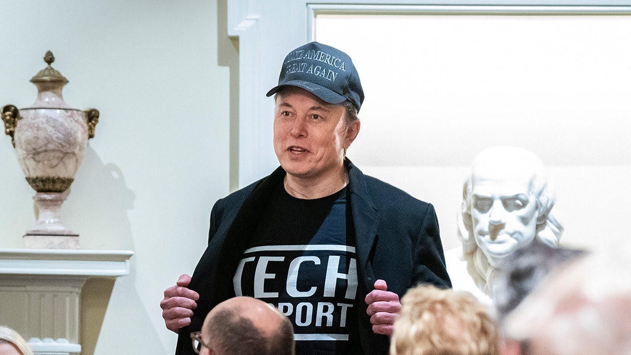 Here’s what Elon Musk, GOP senators discussed during DOGE meeting