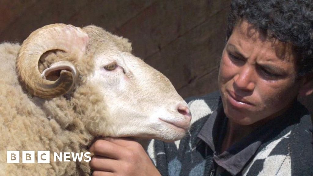 Morocco’s King Mohammed VI urges nation to avoid slaughtering sheep during Eid al-Adha