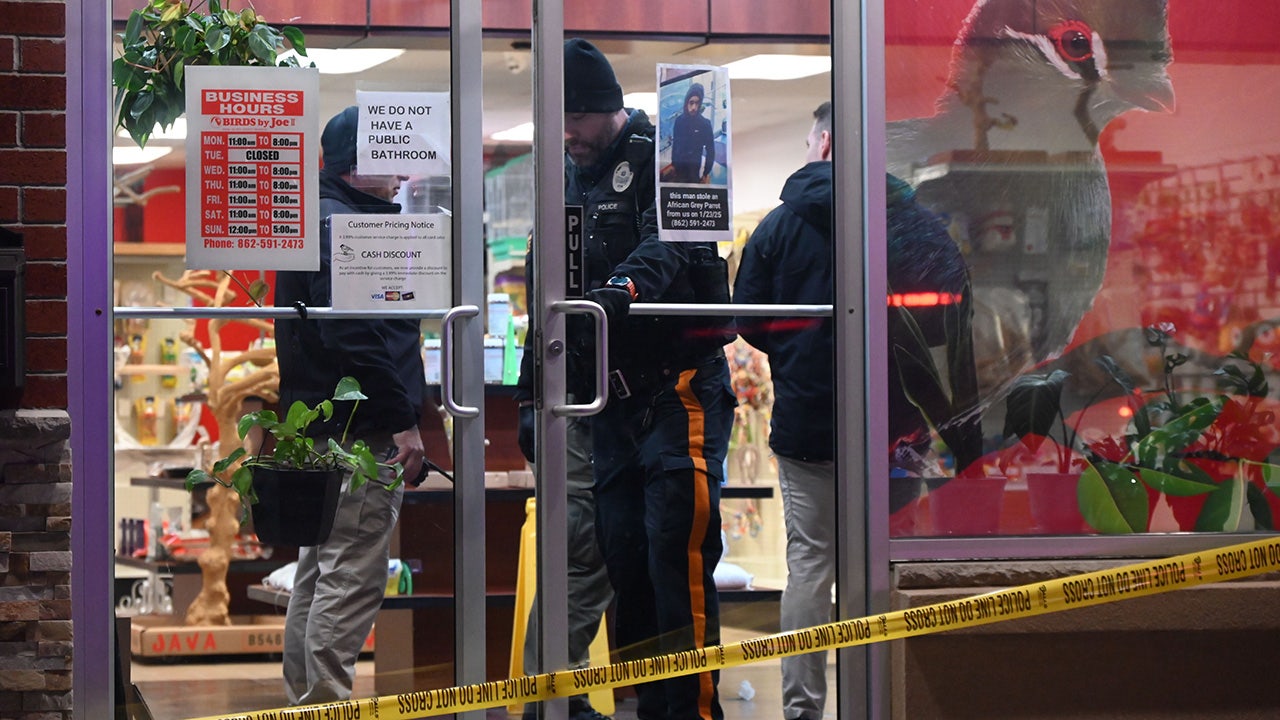 Wealthy NJ town pet store owner shot with crossbow after exotic bird robbery