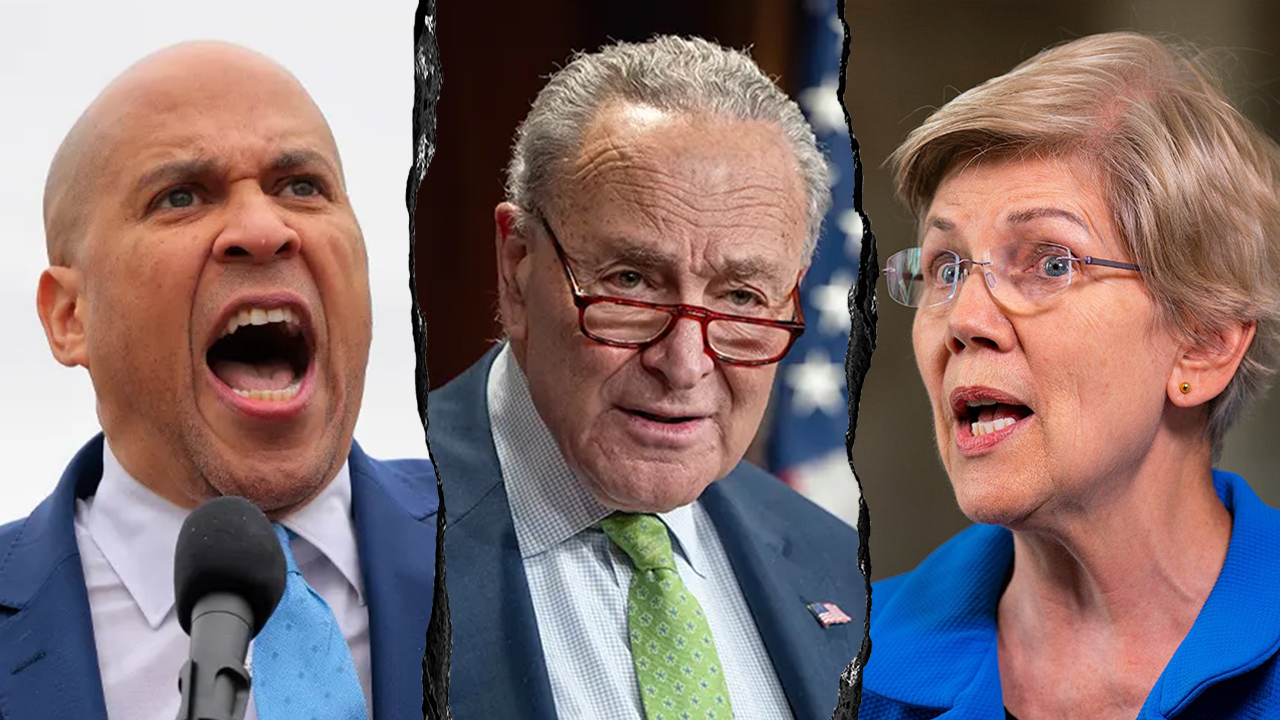 Conservatives flip script on Senate Dems pushing identical talking points against Trump