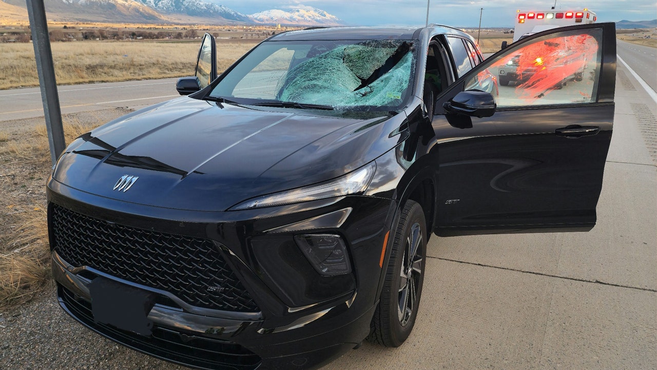 Utah driver injured after smashing into turkey on the interstate