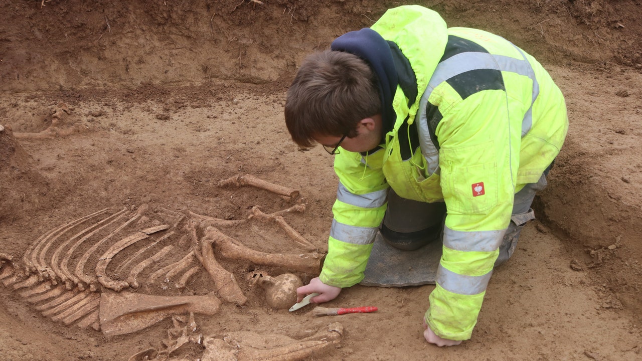 Archaeologists in Germany uncover more than 100 ancient Roman horse skeletons