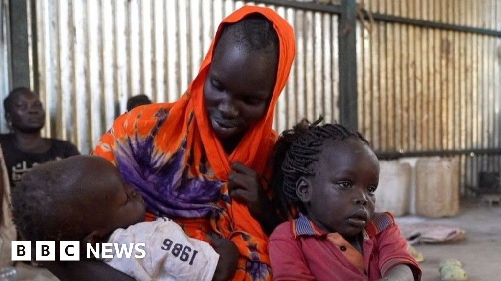 Fleeing civilians trapped in border town of Renk