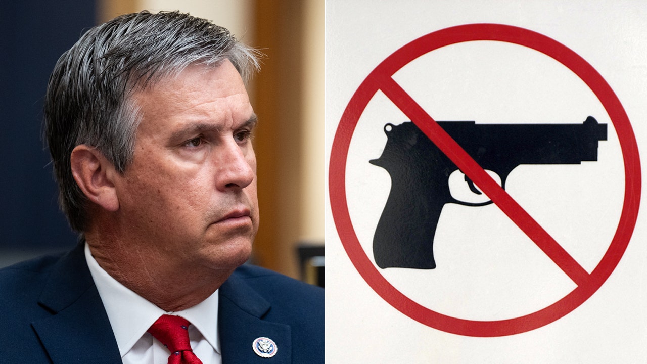 Republicans seek to strip IRS of guns and ammo