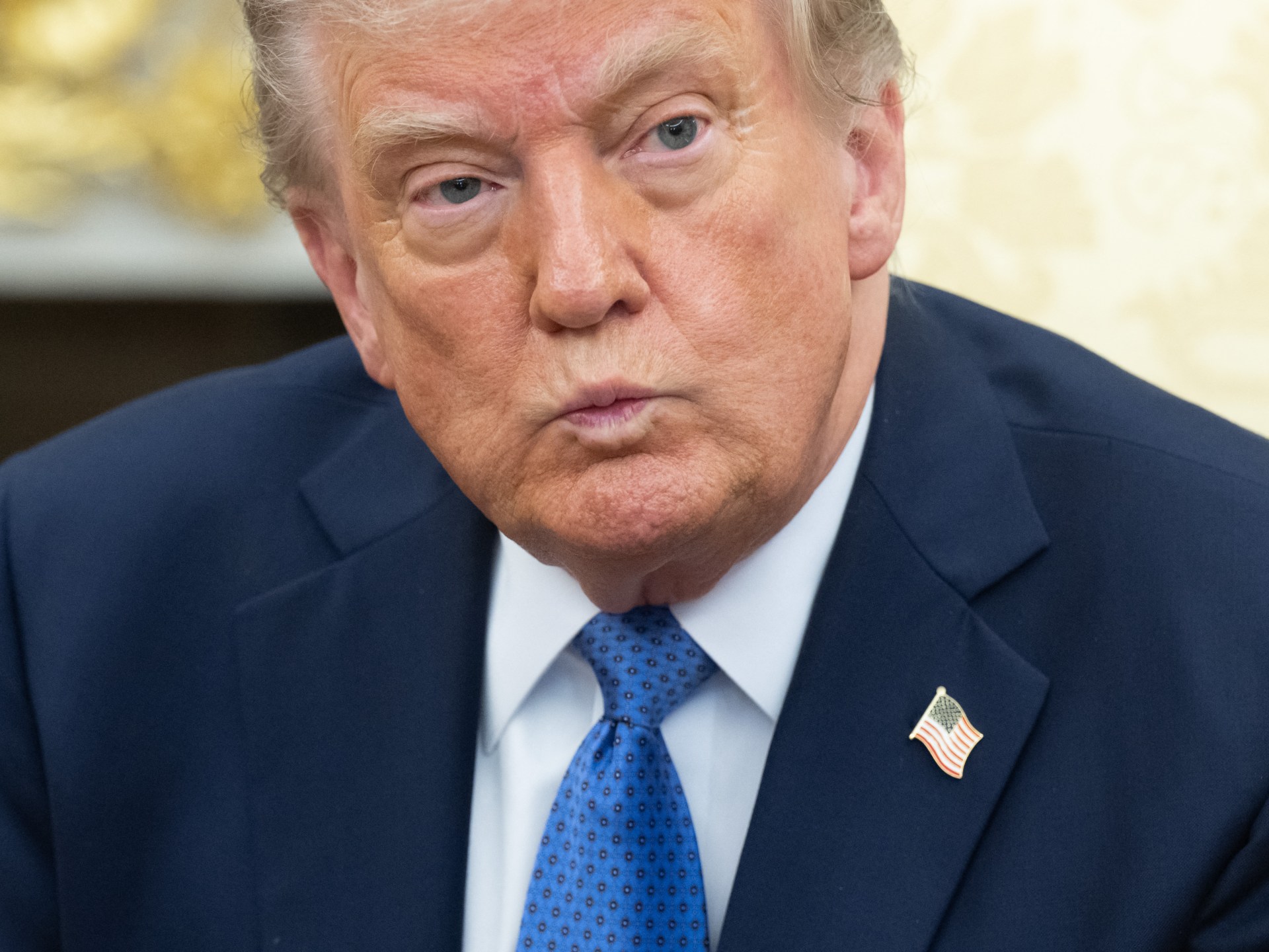 Trump says petrol and grocery prices are down. Facts say otherwise | Business and Economy