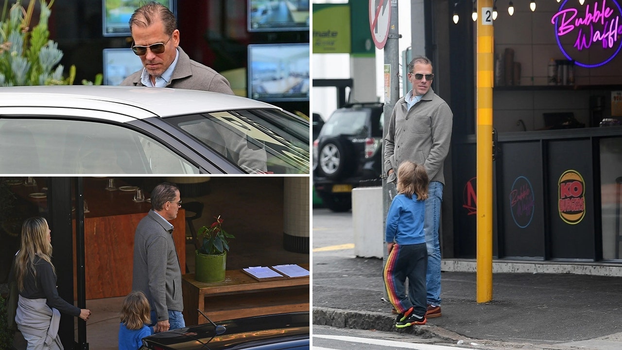 Caught on camera: Hunter Biden in South Africa after Secret Service shield ends