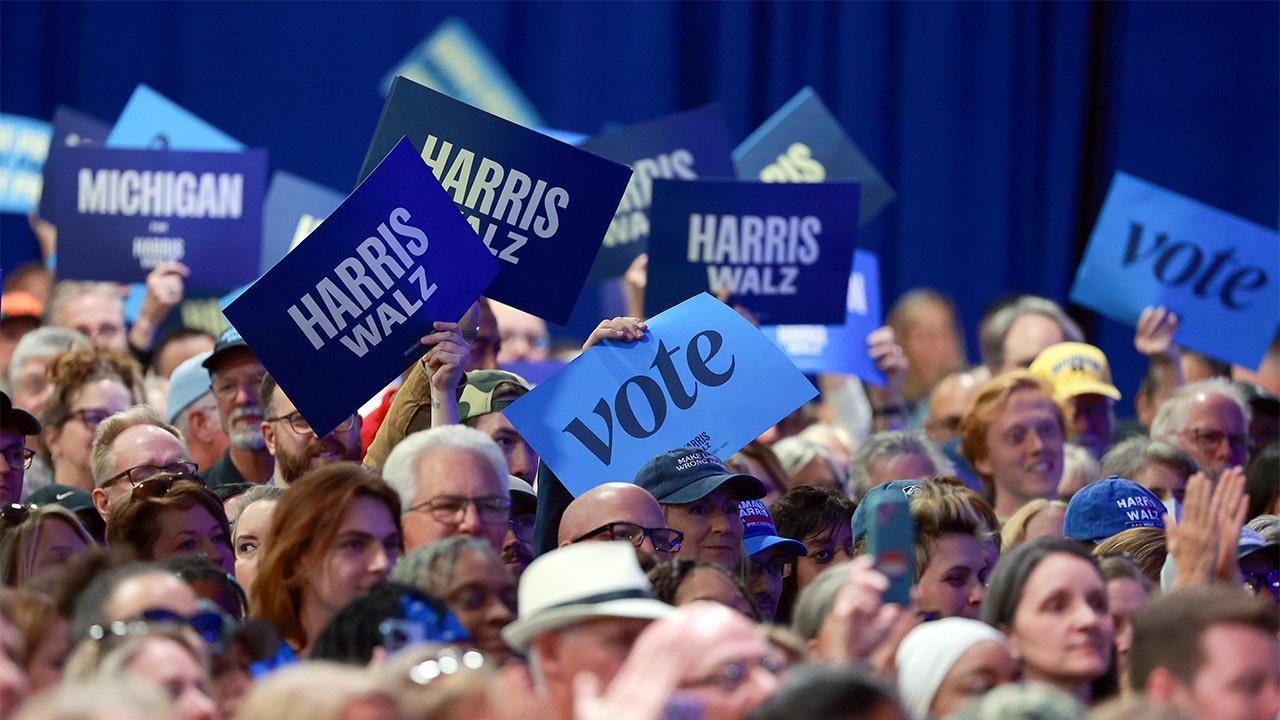 Democratic Party continues to work on image, way forward after Harris’ loss