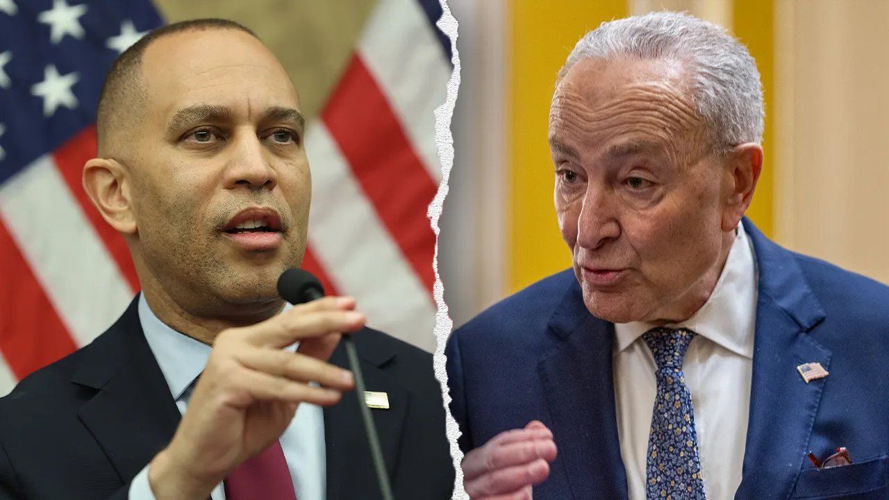 Disappointed Democratic voters call party useless and ‘inept’ in NYT interview