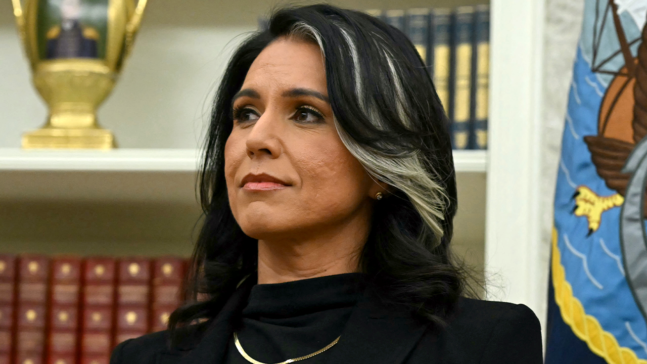 Gabbard slams ‘politically motivated’ surveillance as effort to ‘intimidate’ her