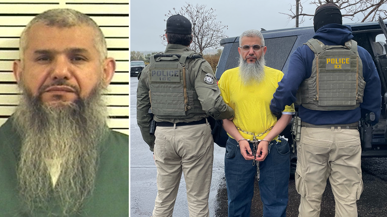 ICE arrests ‘criminal alien’ released from prison with sex crimes conviction