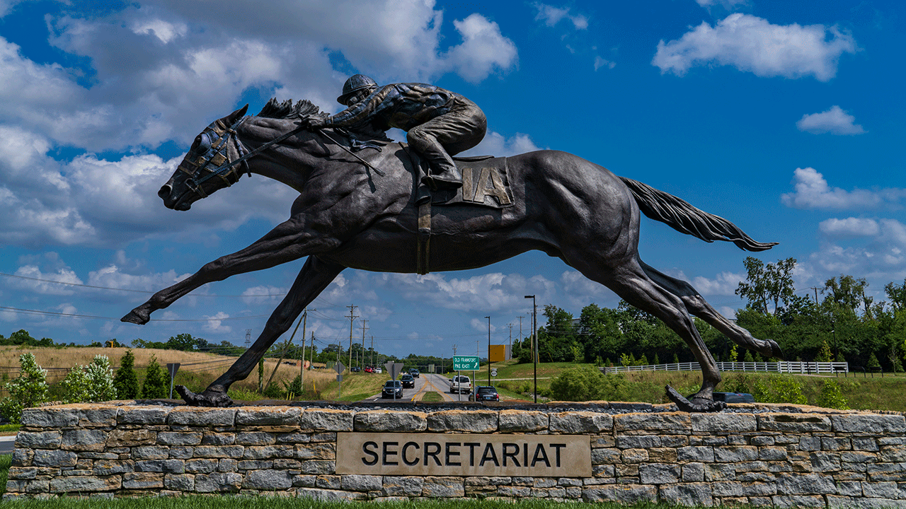 Kentucky Derby: all competing horses reportedly descend from Secretariat