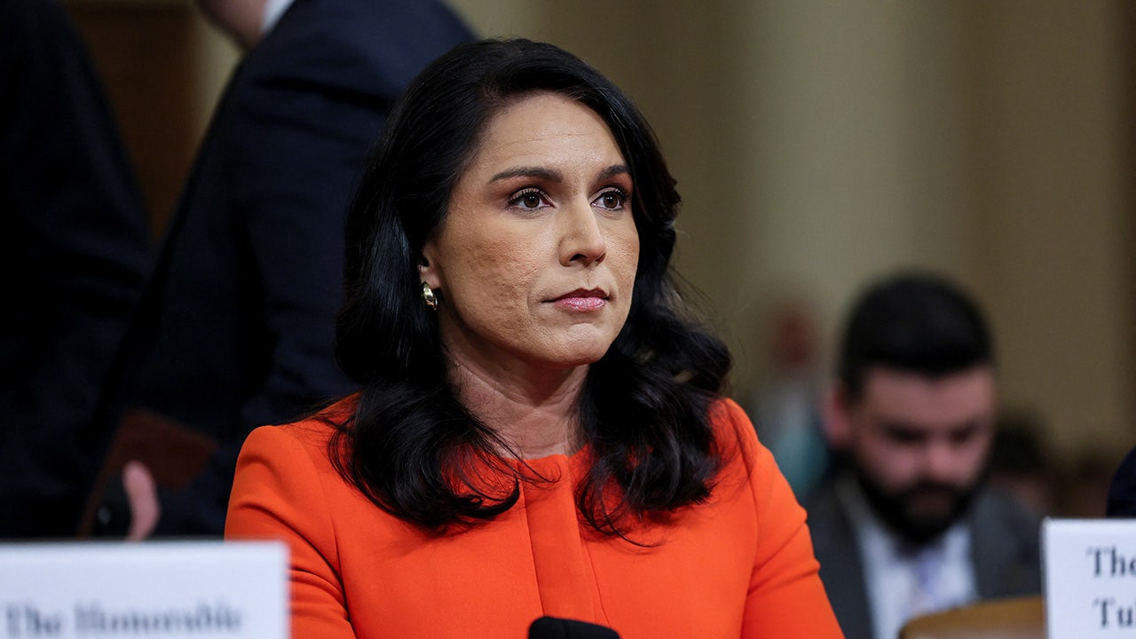 Rand Paul reveals federal air marshals surveilled Tulsi Gabbard on US flights