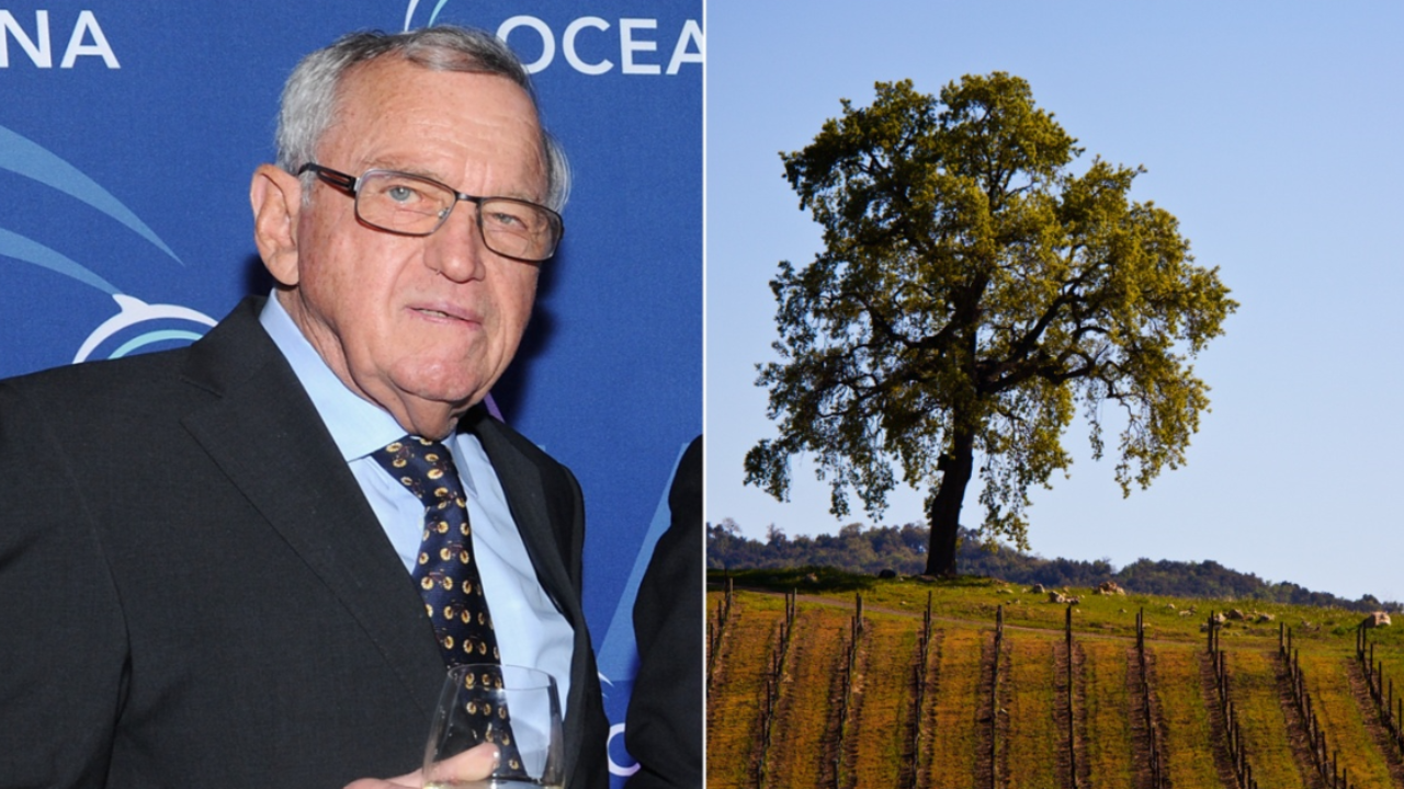 Swiss billionaire Hansjörg Wyss faces sexual harassment lawsuit from employee