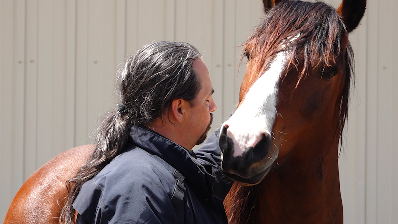 Wyoming program pairs veterans with wild mustangs for mutual healing journey