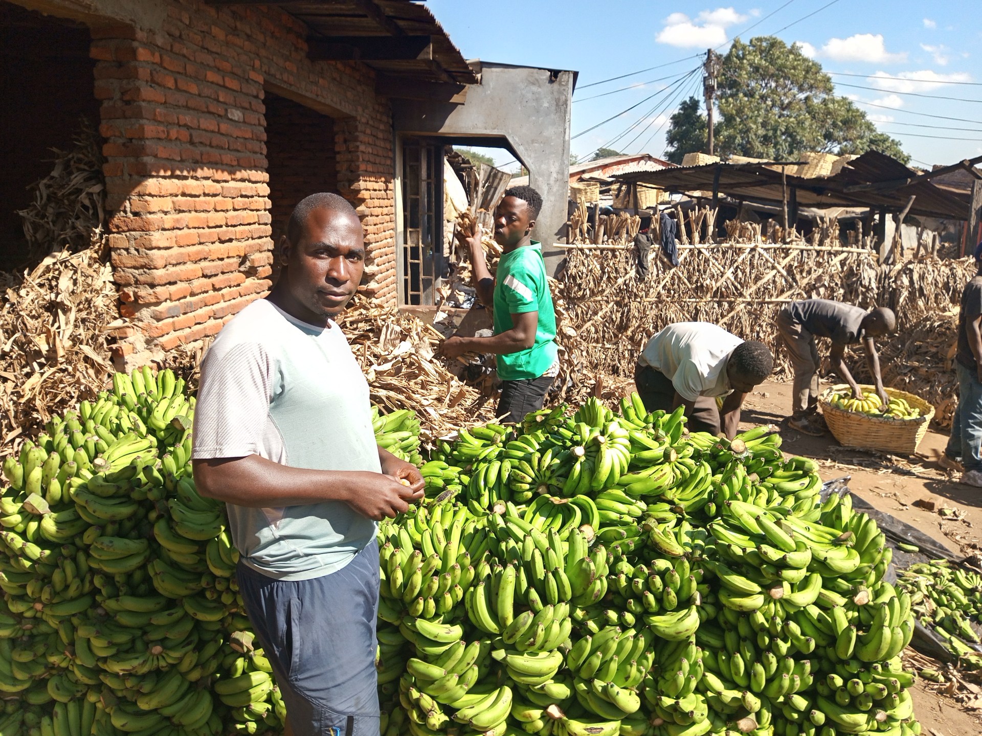 ‘We need our bananas back’: Traders left in limbo amid Malawi-Tanzania spat | Trade War News